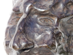 tête bronze patiné 15x15 (détail)