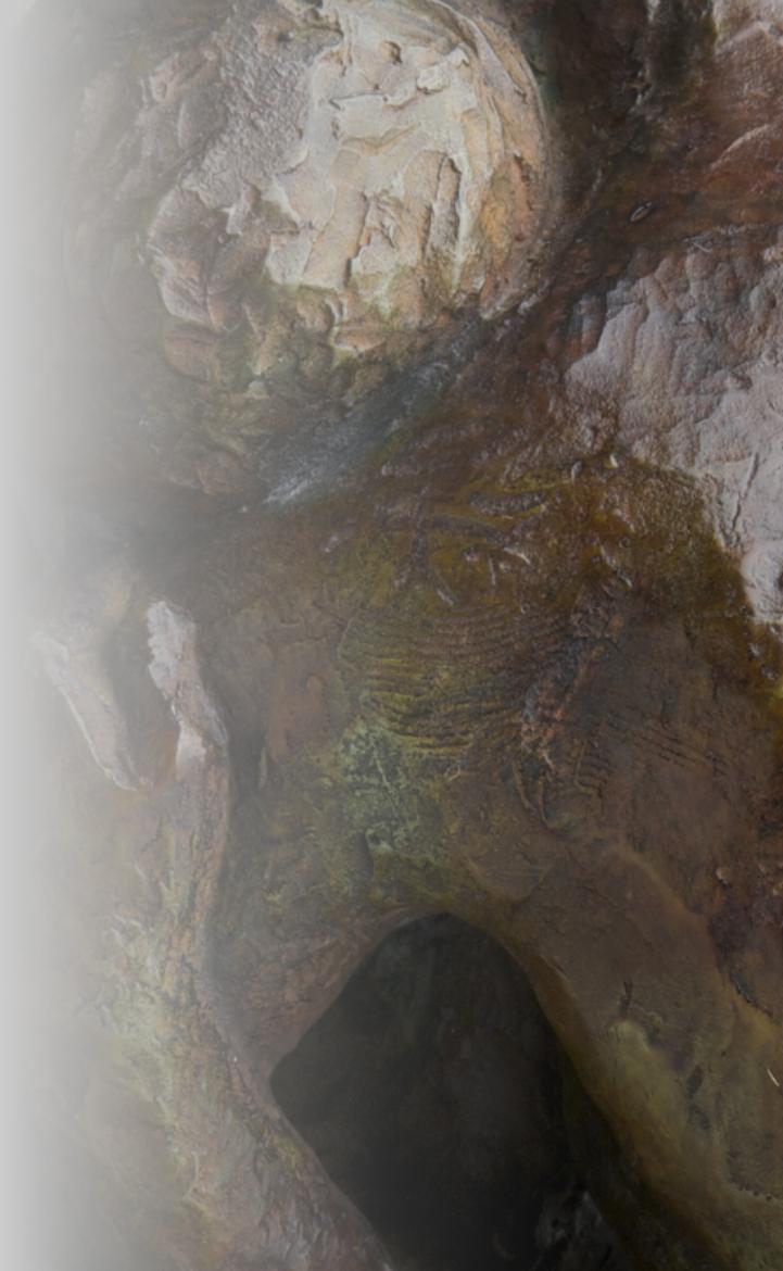 PhotositeCharlotte12nov201416reduite